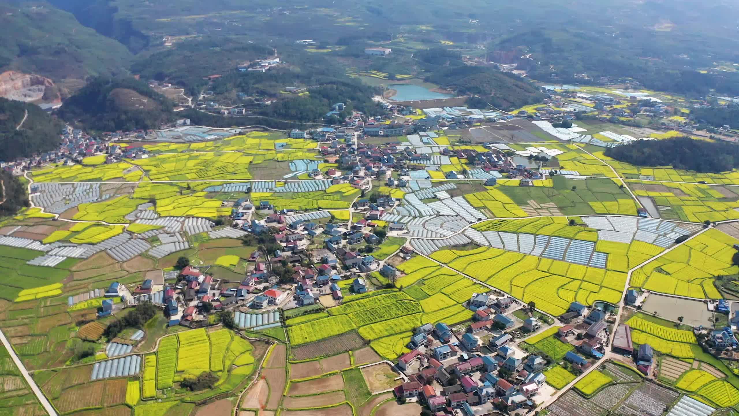 福地怀化·浪漫季|中方县泸阳镇下坪村的这片油菜xuan花 你爱了吗