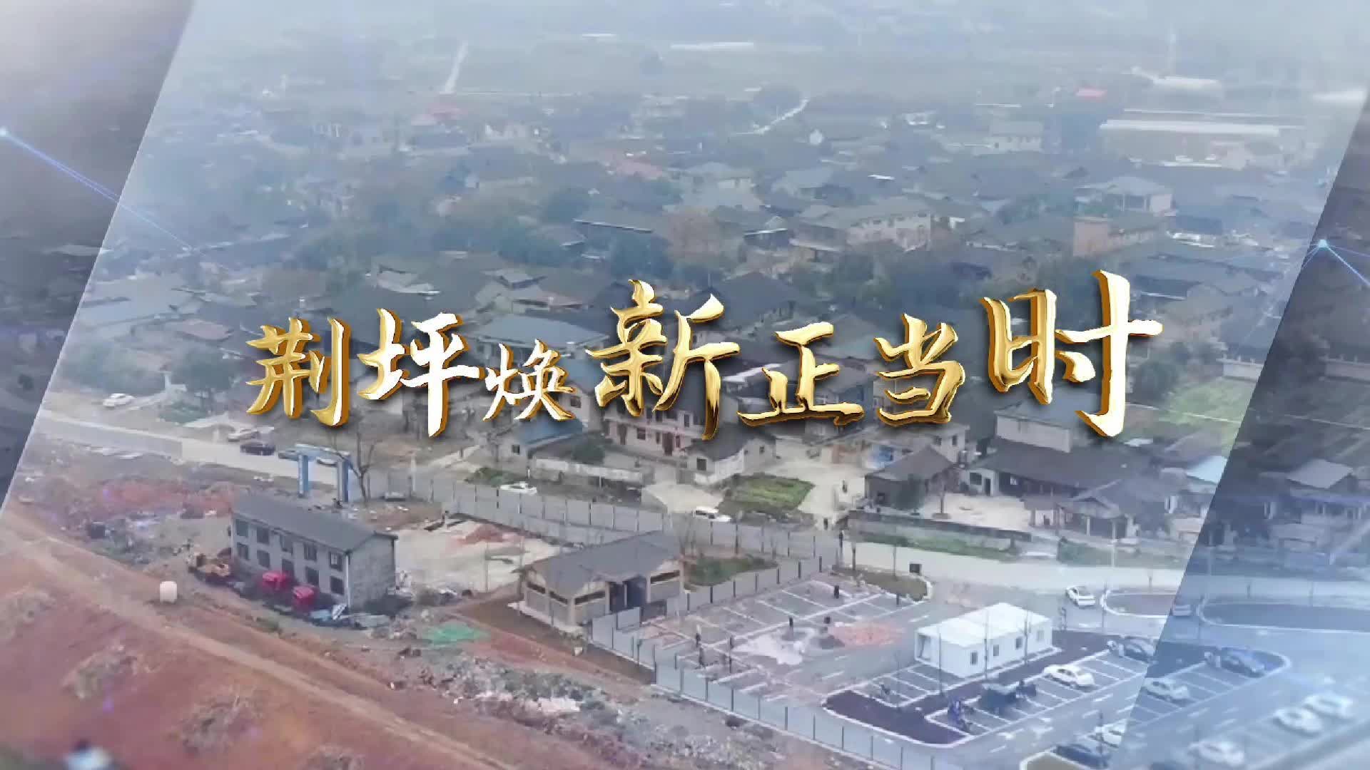 视频|荆坪古村码头与堤岸整治提升工程稳步推进 生态景观带雏形初现