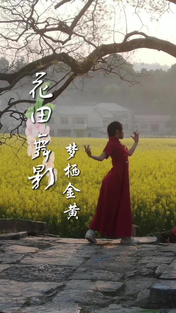 视频|花田舞影，梦栖金黄。快来泸阳油菜花田打卡吧~