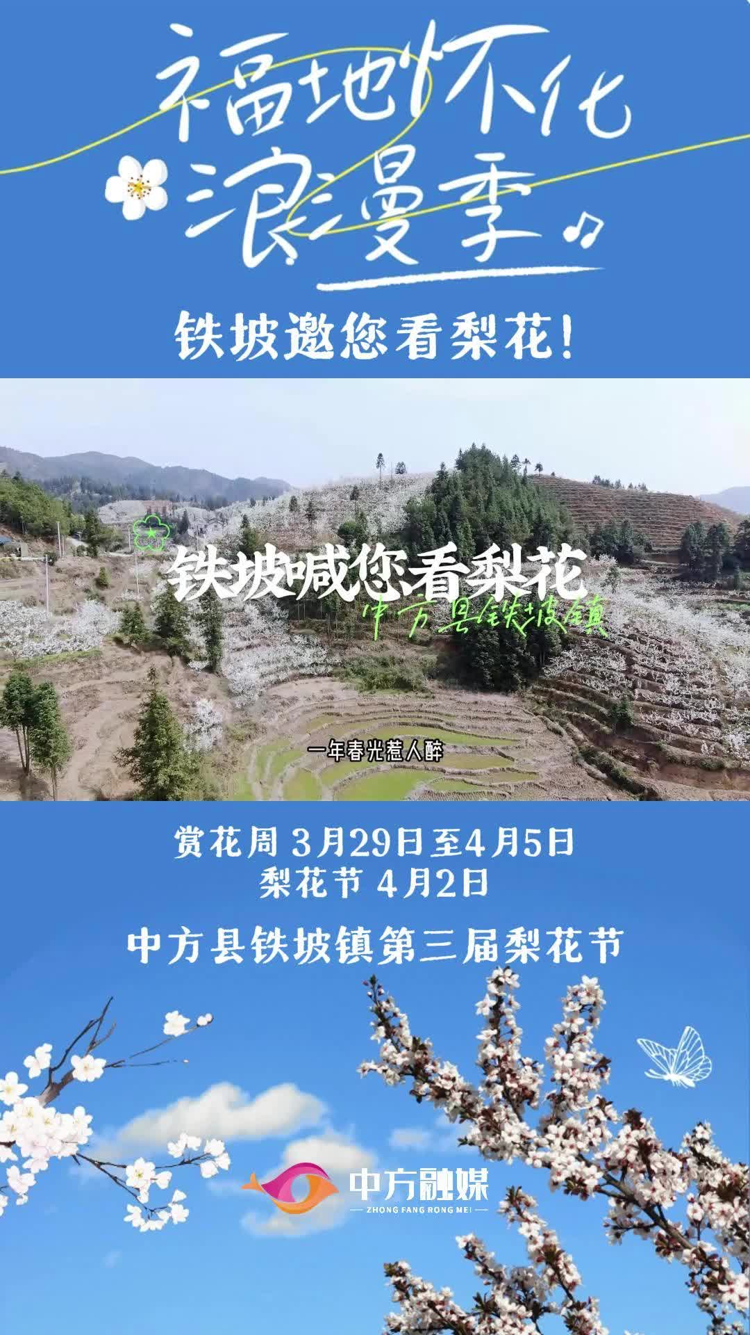 视频|中方县铁坡镇邀您看梨花啦~