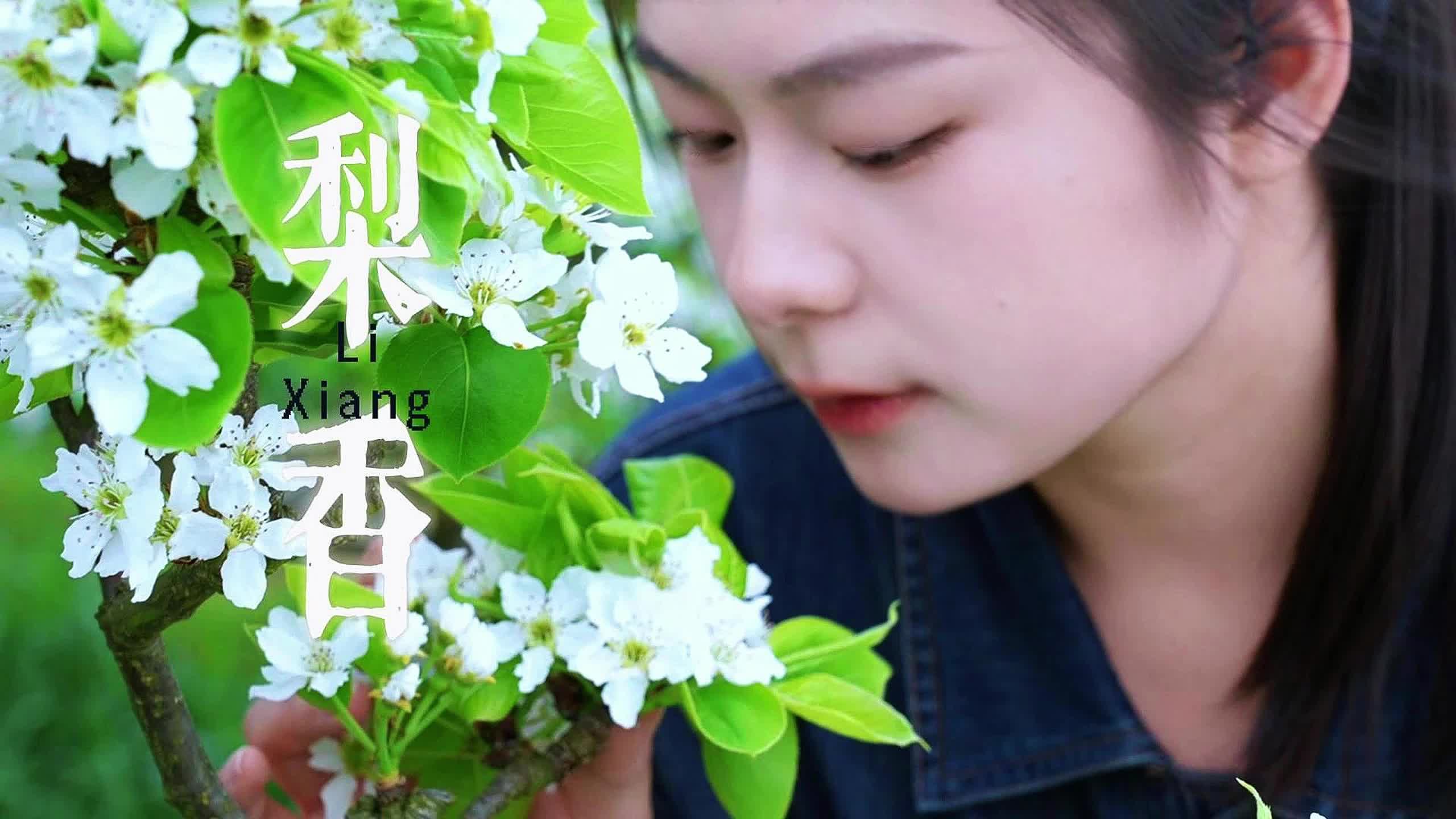 视频|偶遇绝美梨海，又闻梨花飘香~