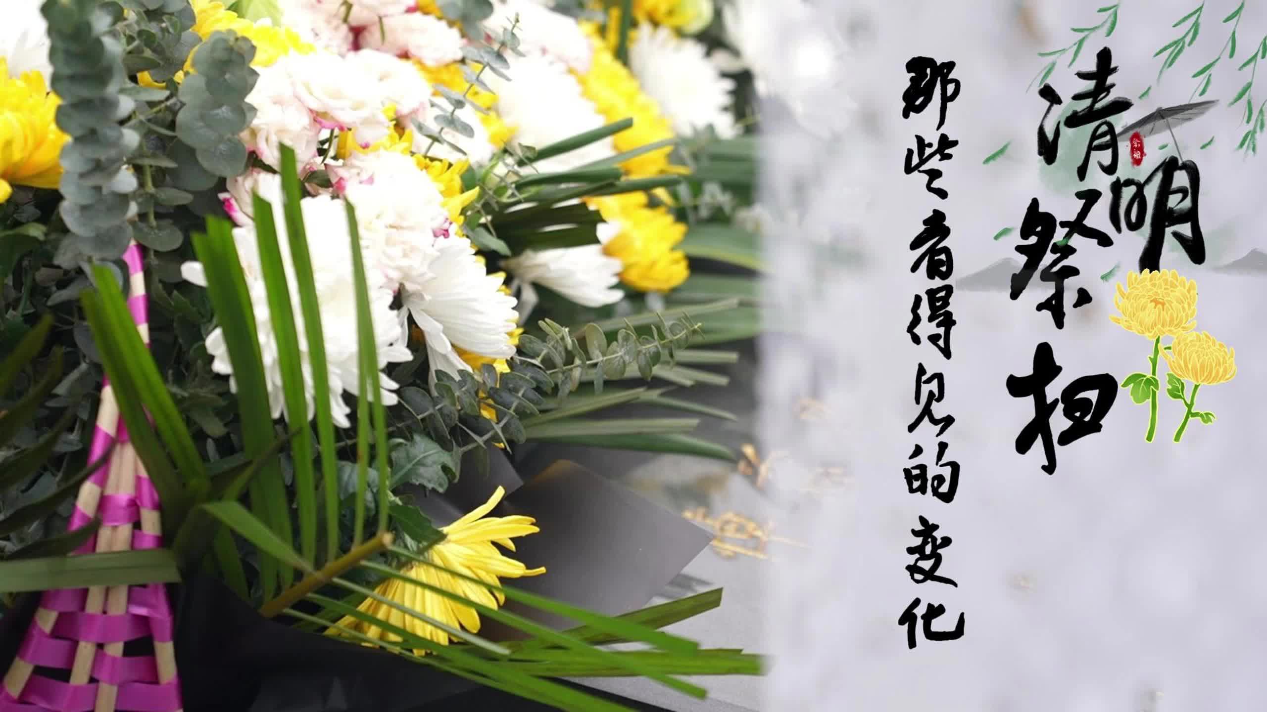 视频|清明祭扫——那些看得到的变化