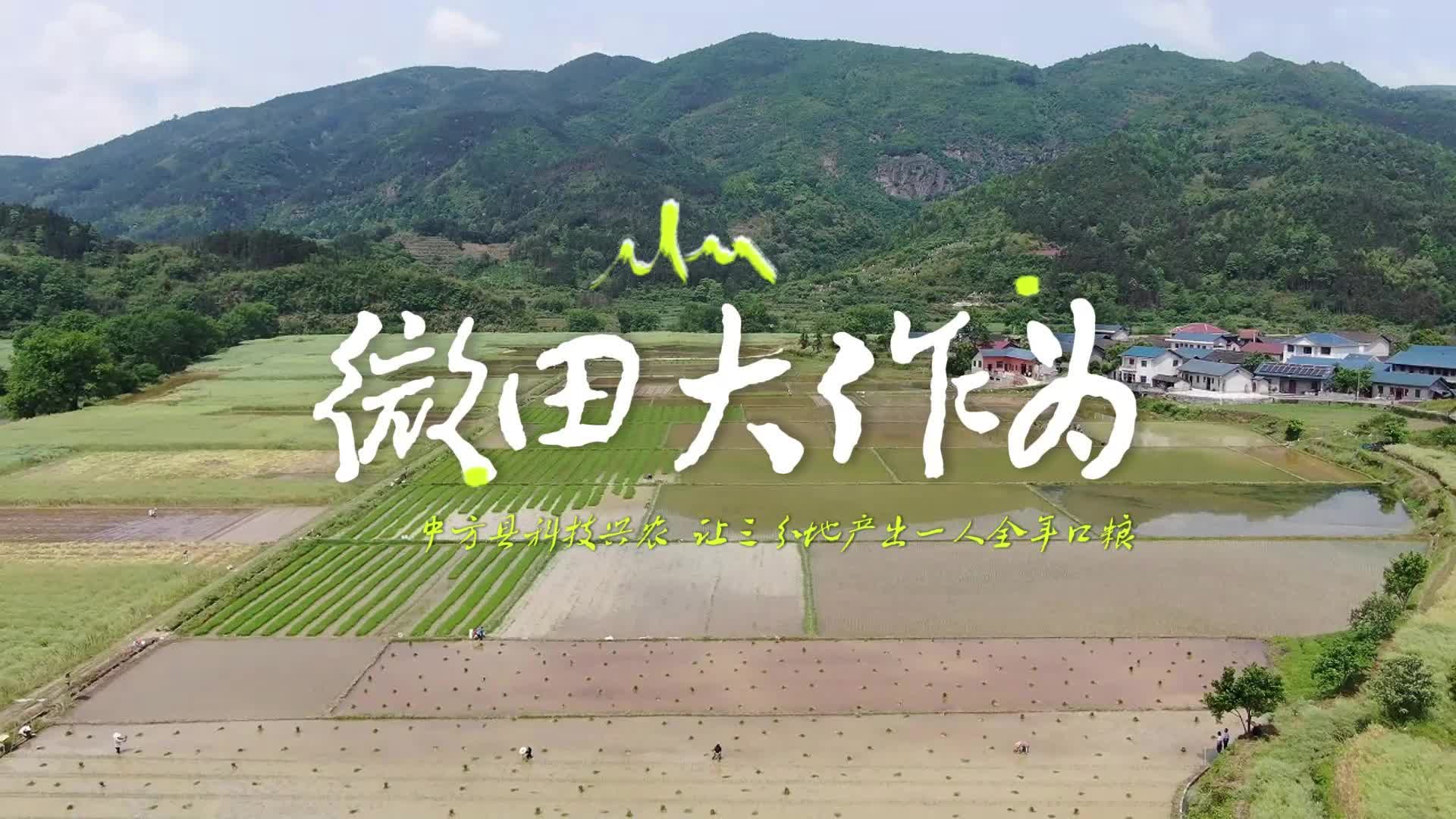 视频|“微田大作为”——中方县科技兴农让三分地实现一人全年口粮