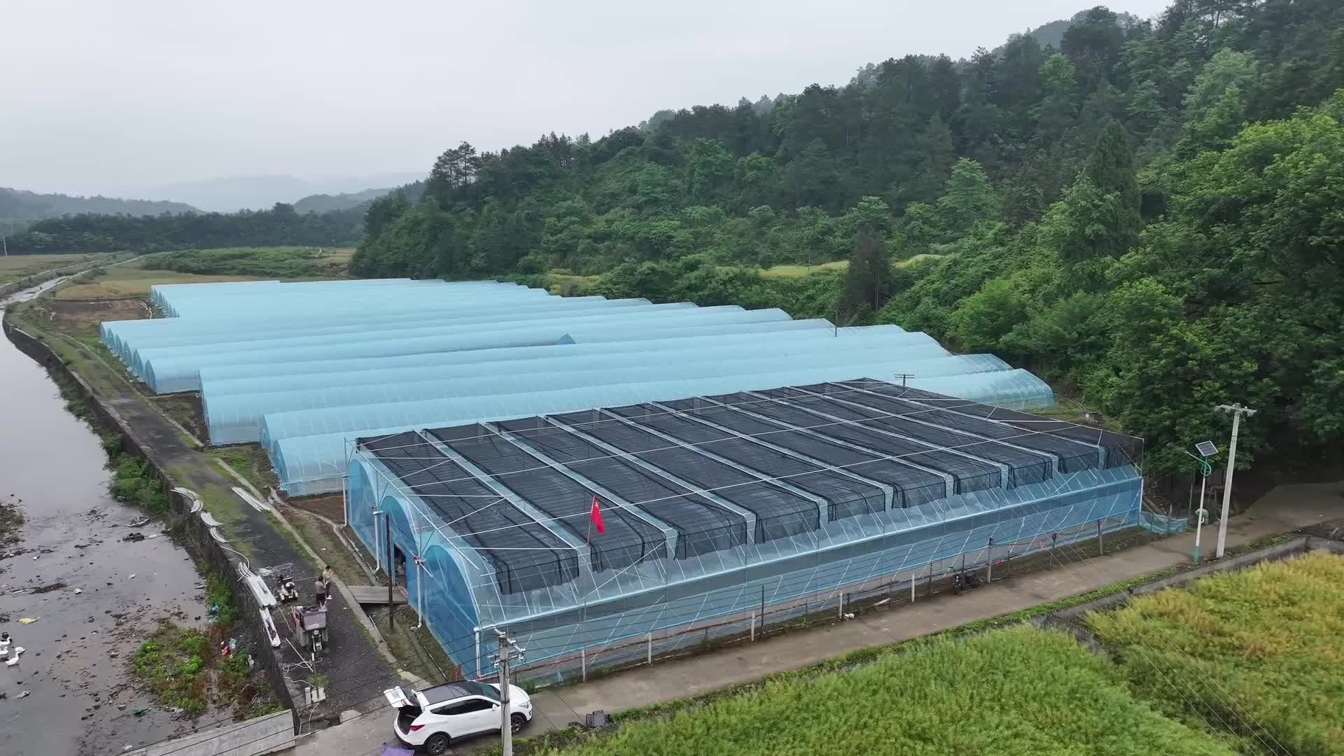 视频｜中方县：流水线育秧忙 春耕跑出“加速度”