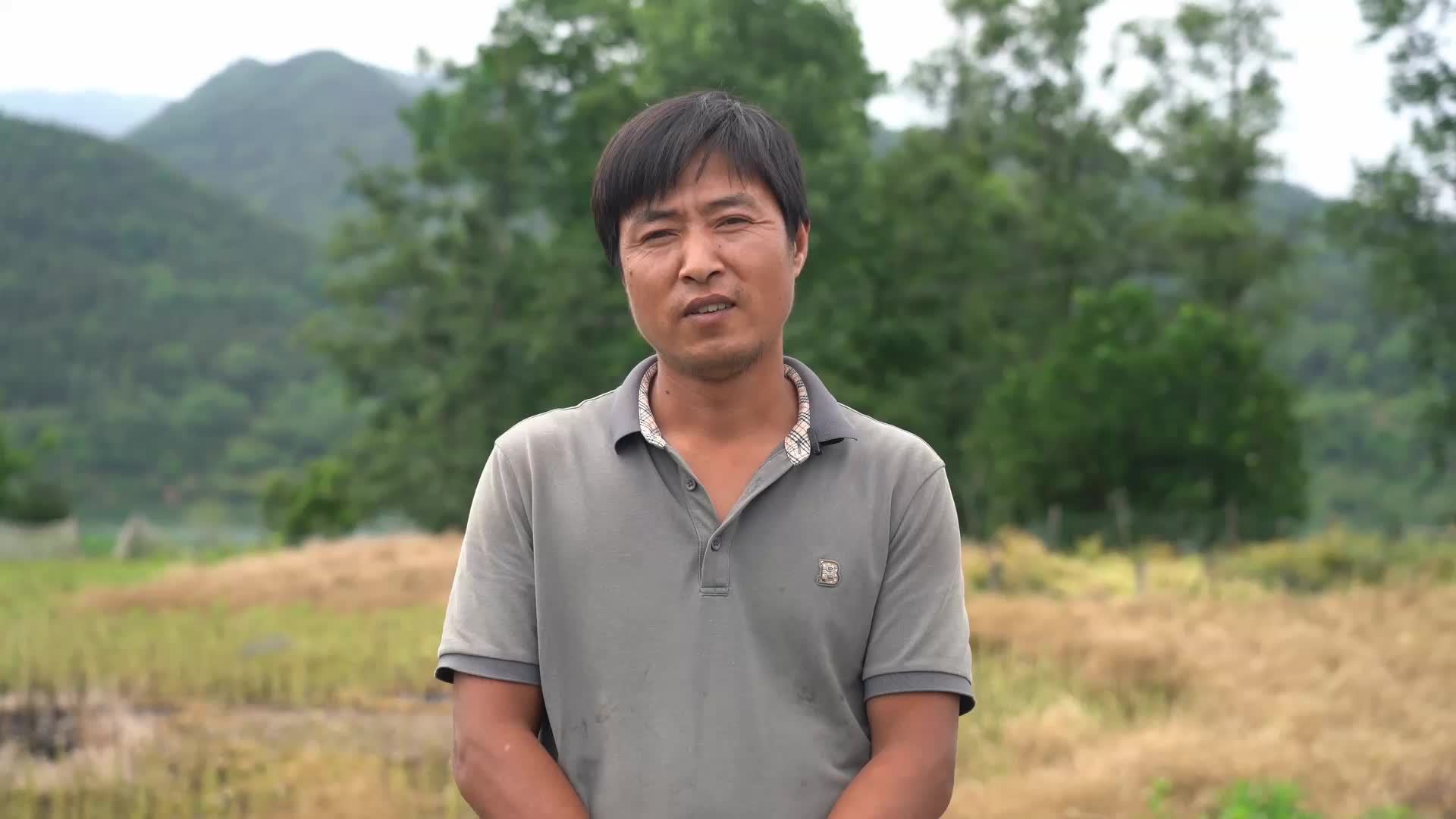 视频|中方县铜鼎镇：蚯蚓肥种菜种出致富新门路