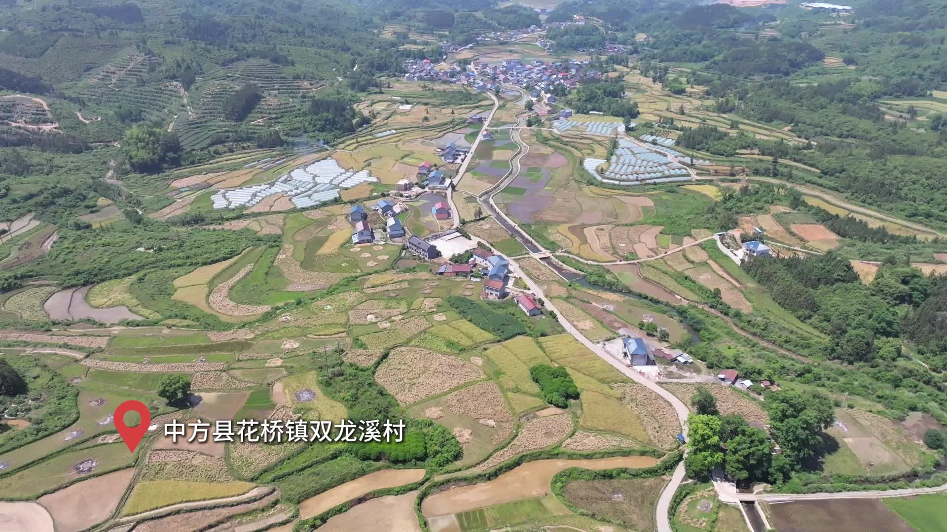 视频|中方县花桥镇双龙溪村：2000亩油菜收割忙