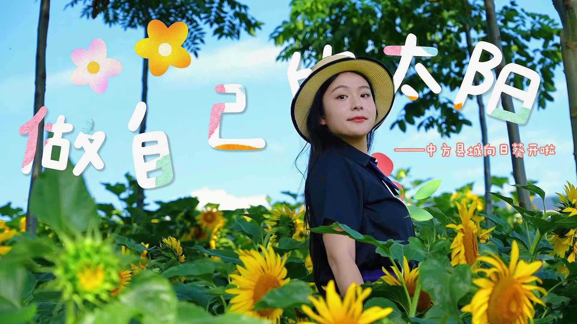 視頻|做自己的太陽(yáng)！中方縣城·向日葵開(kāi)~