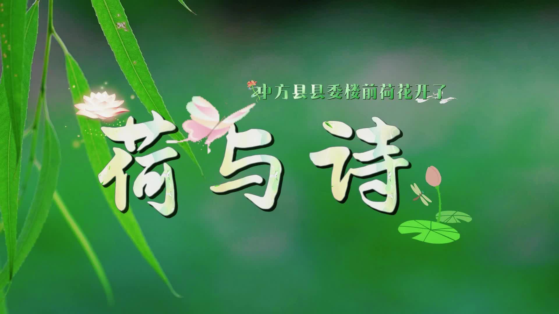 視頻|中方縣城里的荷與詩