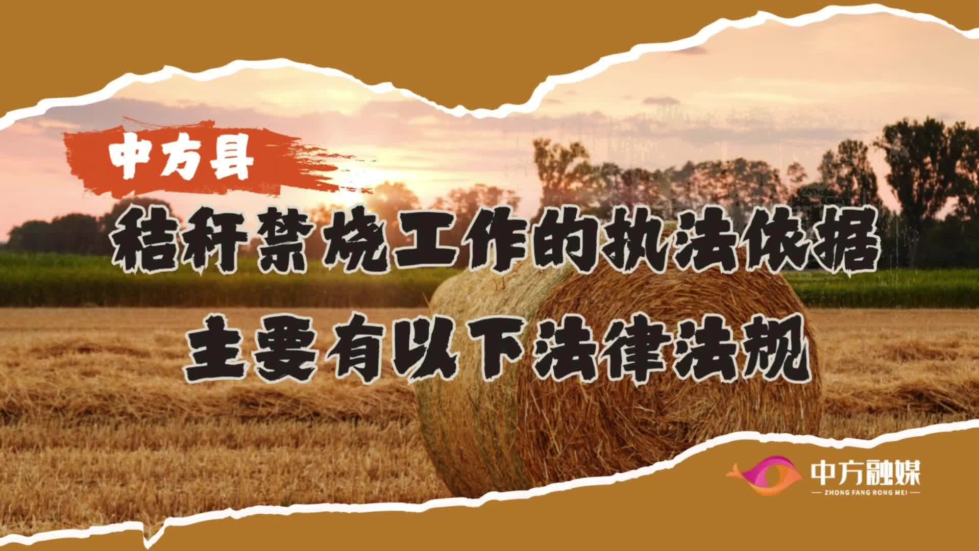 视频|秸秆禁烧工作的执法依据主要有以下法律法规
