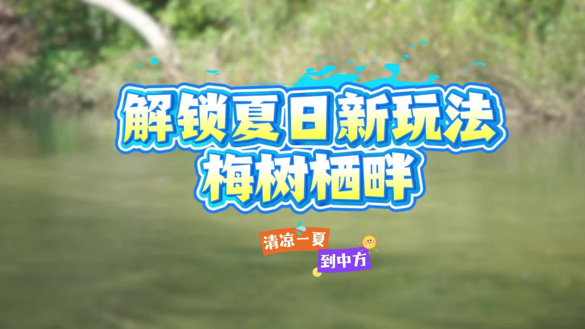 視頻|清涼一夏到中方·中方縣銅灣鎮(zhèn)梅樹棲畔：解鎖夏日新玩法，暢享清涼一夏