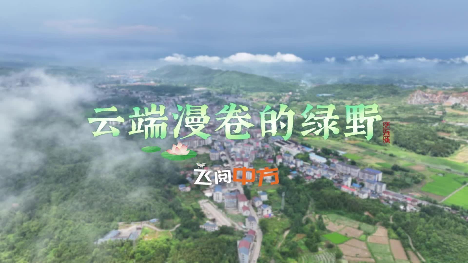 视频|飞阅中方·泸阳镇：云端漫卷的绿野