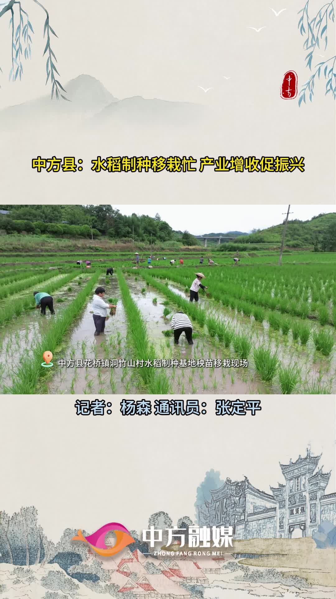 視頻|中方縣：水稻制種移栽忙 產(chǎn)業(yè)增收促振興