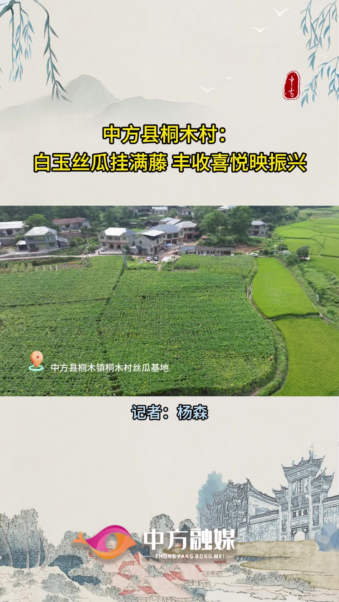 视频|中方县桐木村：白玉丝瓜挂满藤 丰收喜悦映振兴