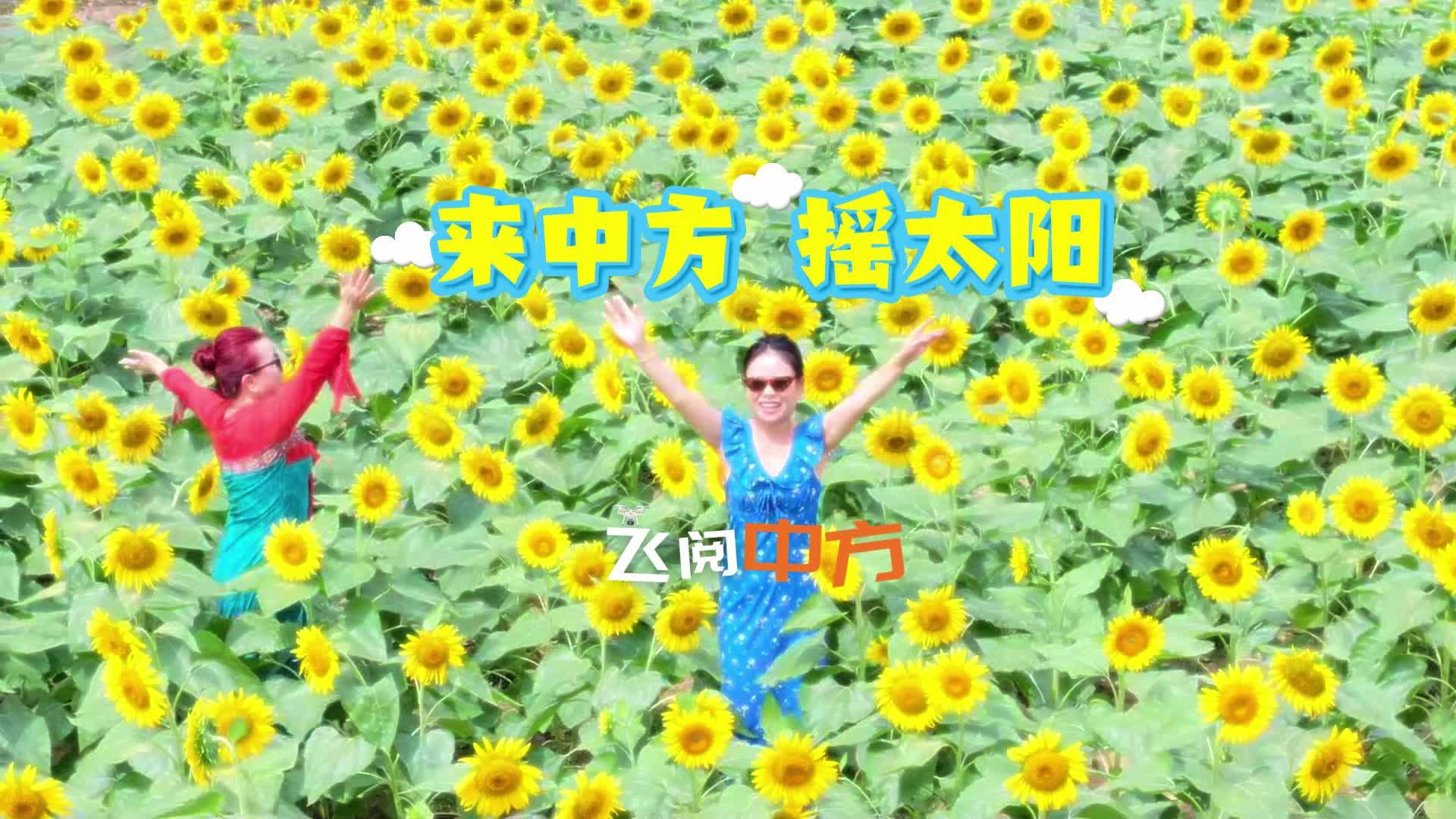 视频·飞阅中方|来中方向日葵田，一起摇太阳！