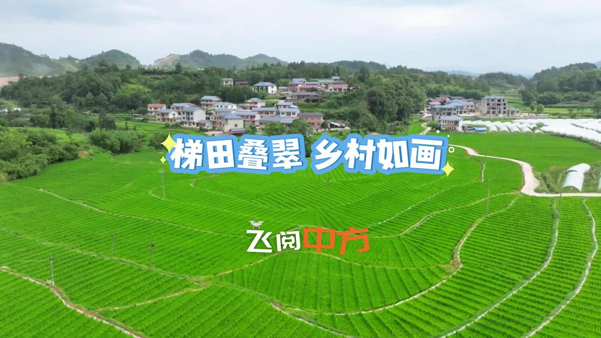 视频|飞阅中方·中方县千丘田村：梯田叠翠 乡村如画