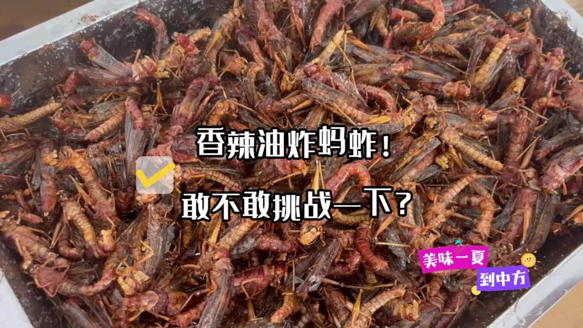视频|美味一夏到中方·乡村振兴好滋味！中方本地养殖蚂蚱，炸出香辣酥脆的“地方限定款”！