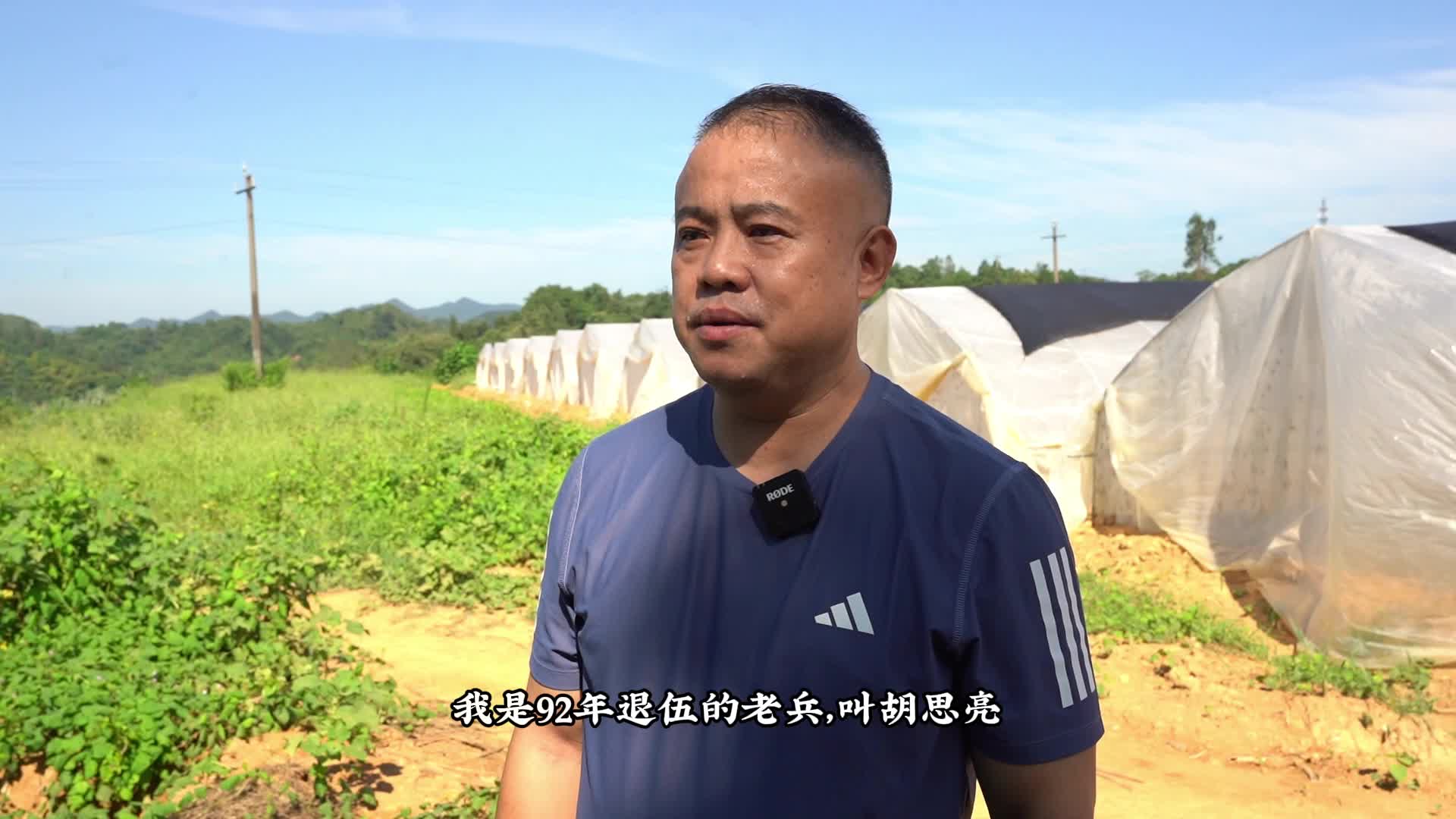 视频I中方人·胡思亮：老兵新传，蚂蚱生“金”