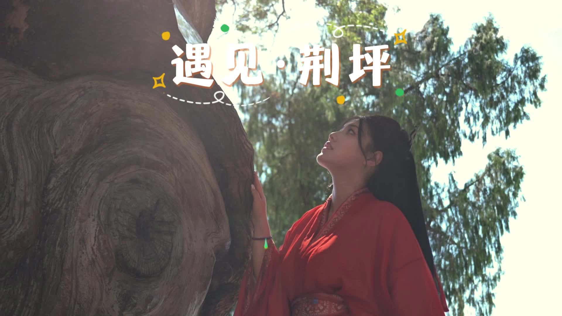 视频|推开这扇门，千年光阴就成了看得见的风景