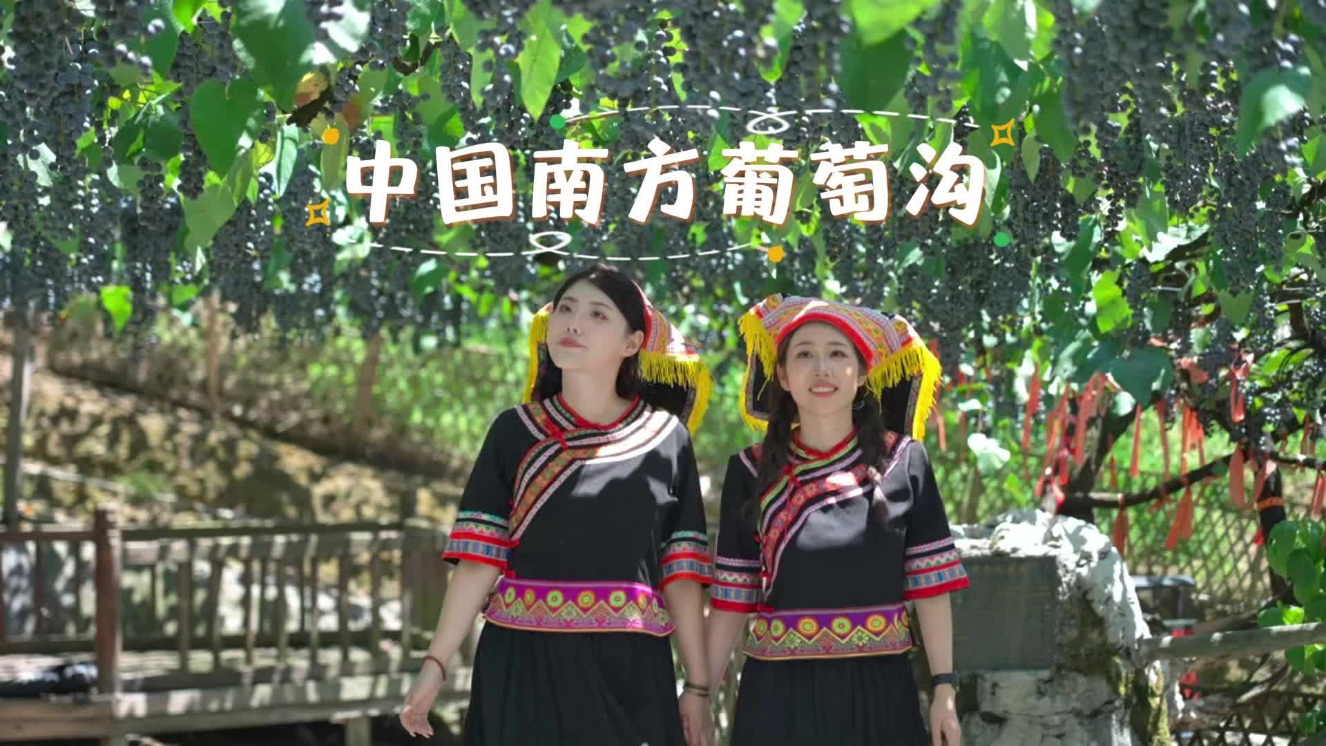 视频|不必追着时间跑，葡萄架下的风与蒲海的浪都在等你