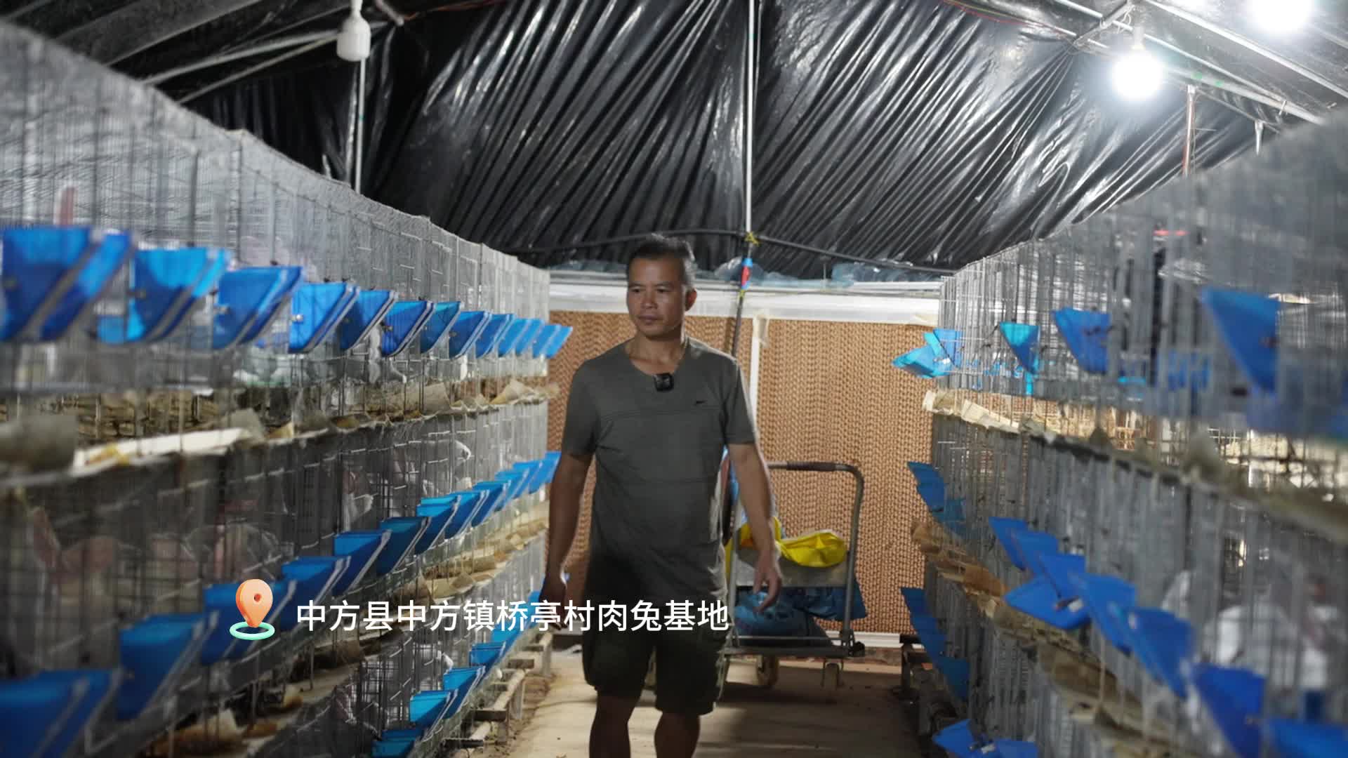 视频|中方县：肉兔养殖 “蹦” 出乡村振兴新路径