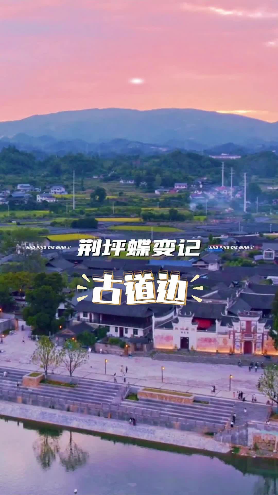 視頻|荊坪蝶變記之古道邊