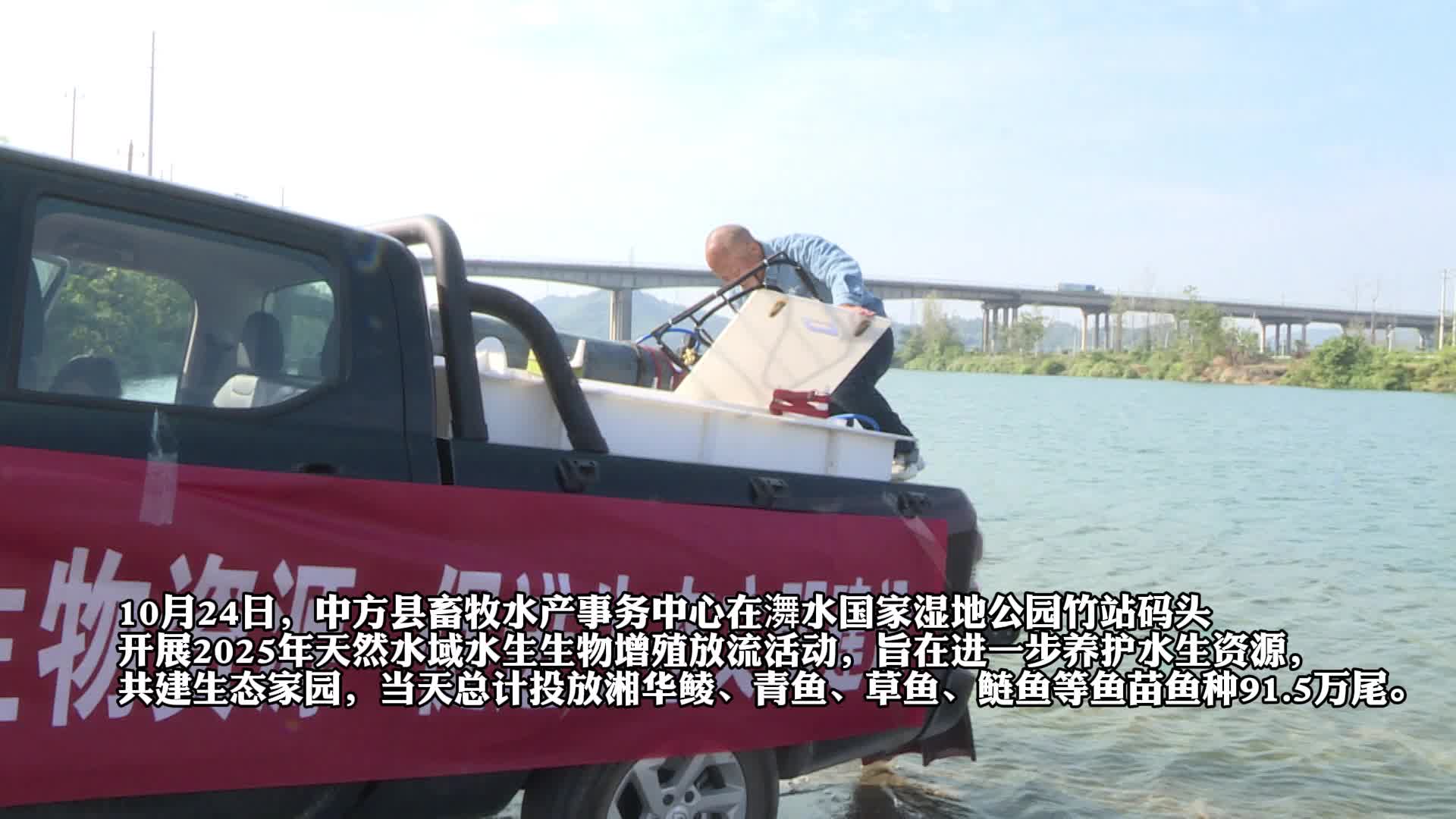 视频|中方县开展2025年天然水域水生生物增殖放流活动