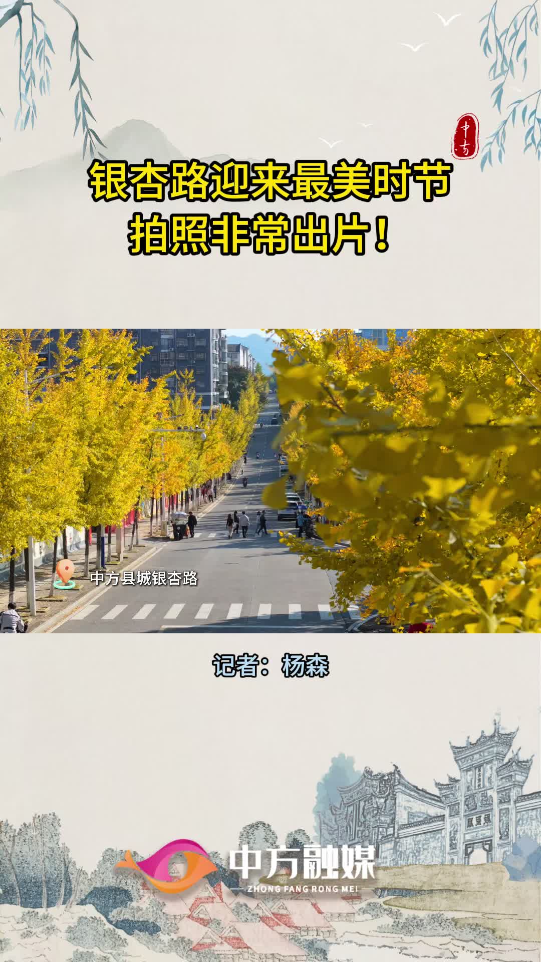 视频|中方：银杏路迎来最美时节，拍照非常出片！