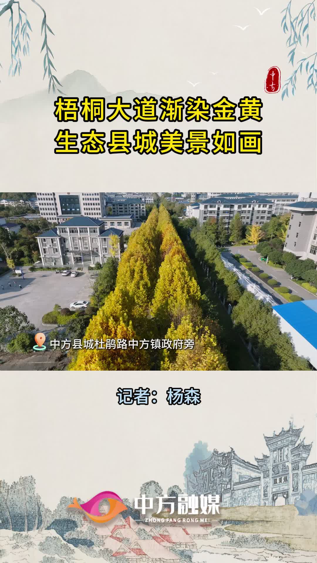 视频|中方：梧桐大道渐染金黄 生态县城美景如画