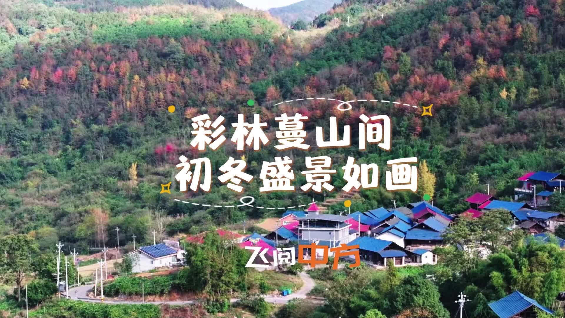 视频｜中方县：彩林蔓山间，初冬盛景如画