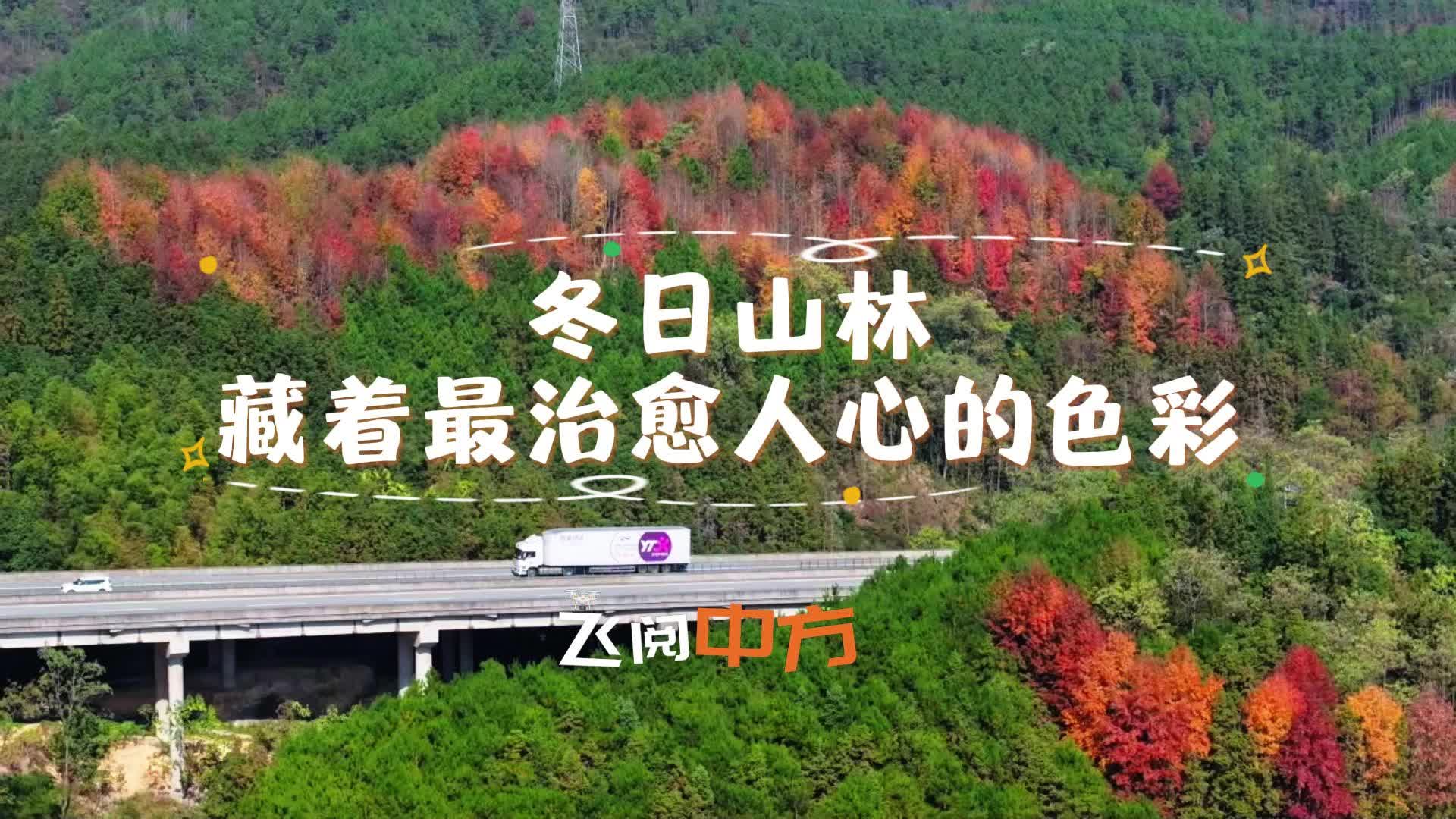 视频|飞阅中方·冬日山林，藏着最治愈人心的色彩