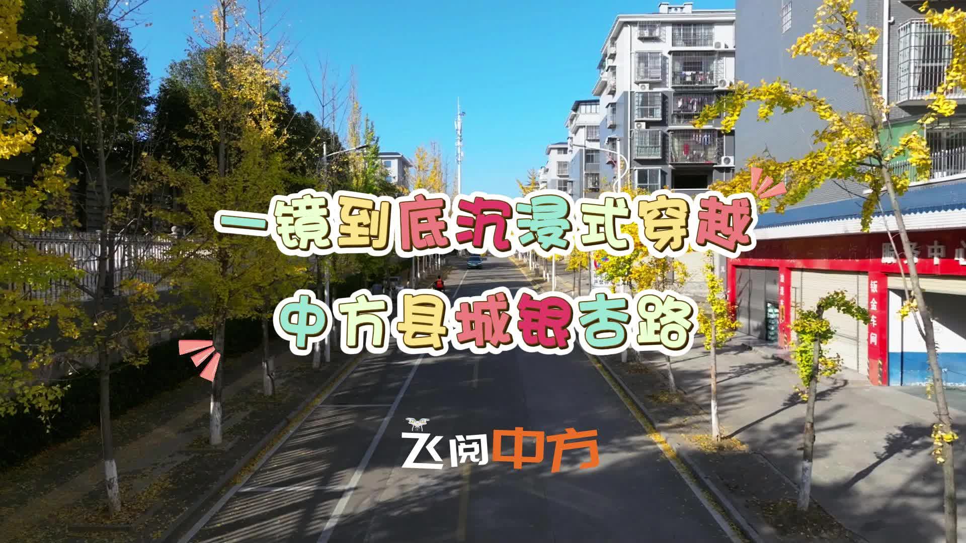 视频|飞阅中方·一镜到底沉浸式穿越银杏路