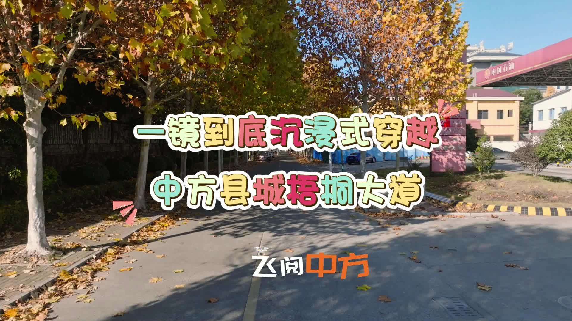 视频|飞阅中方·一镜到底沉浸式穿越梧桐大道