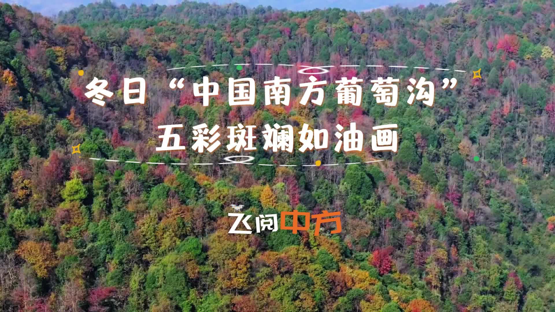 视频|飞阅中方·冬日“中国南方葡萄沟”五彩斑斓如油画