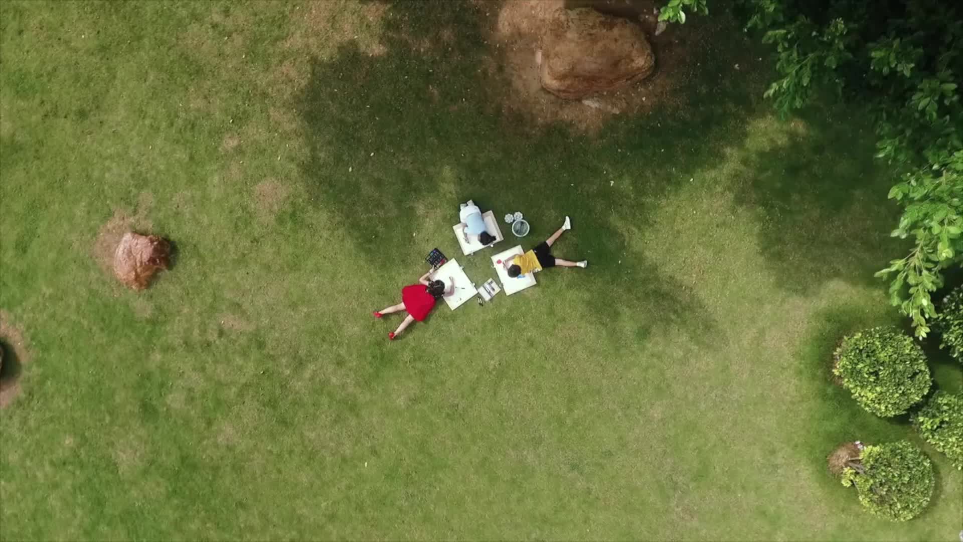 视频|2025年宪法宣传周公益广告之宪法保护我们的未来