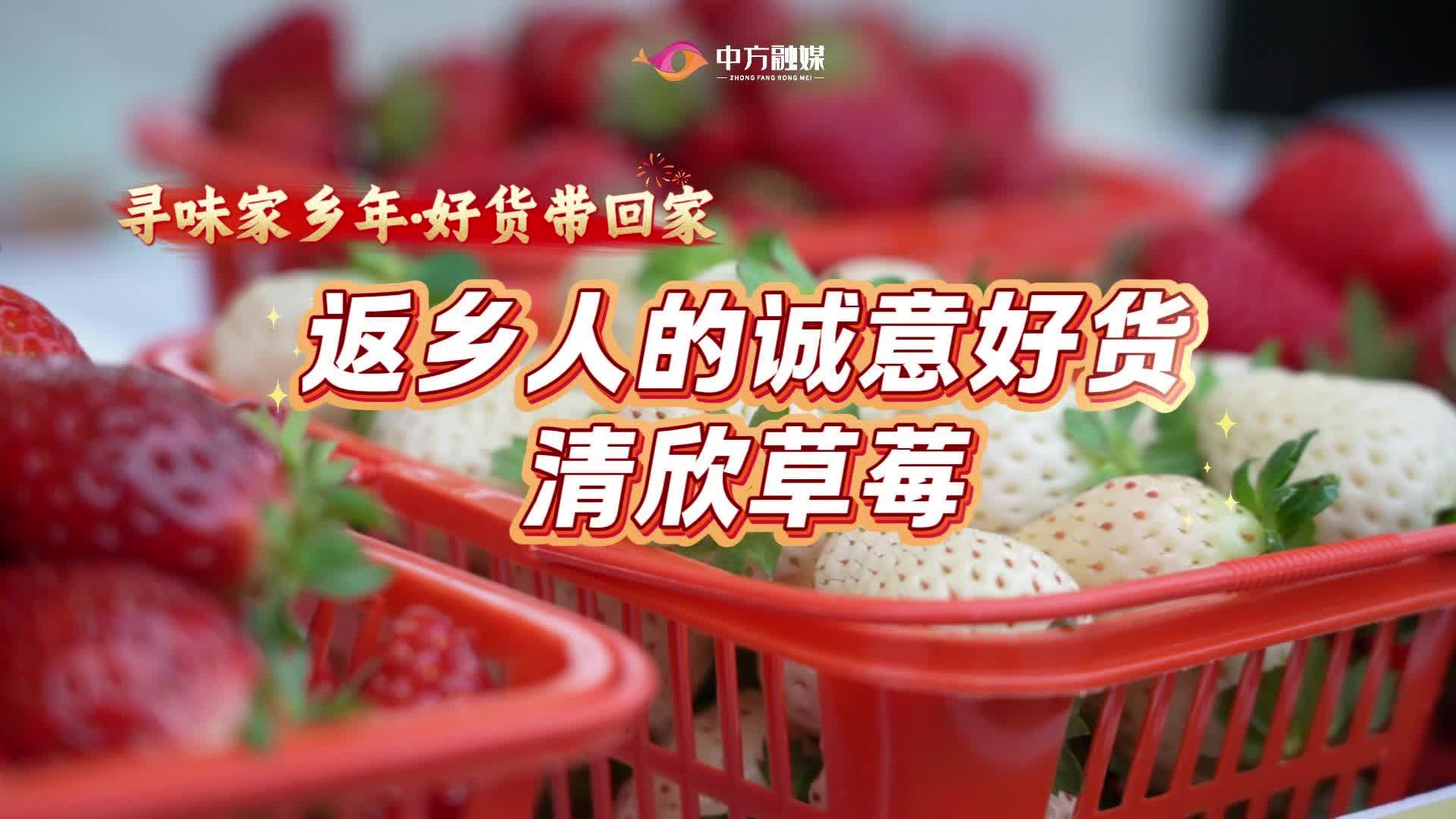视频|“寻味家乡年·好货带回家”返乡人的诚意好货——清欣草莓