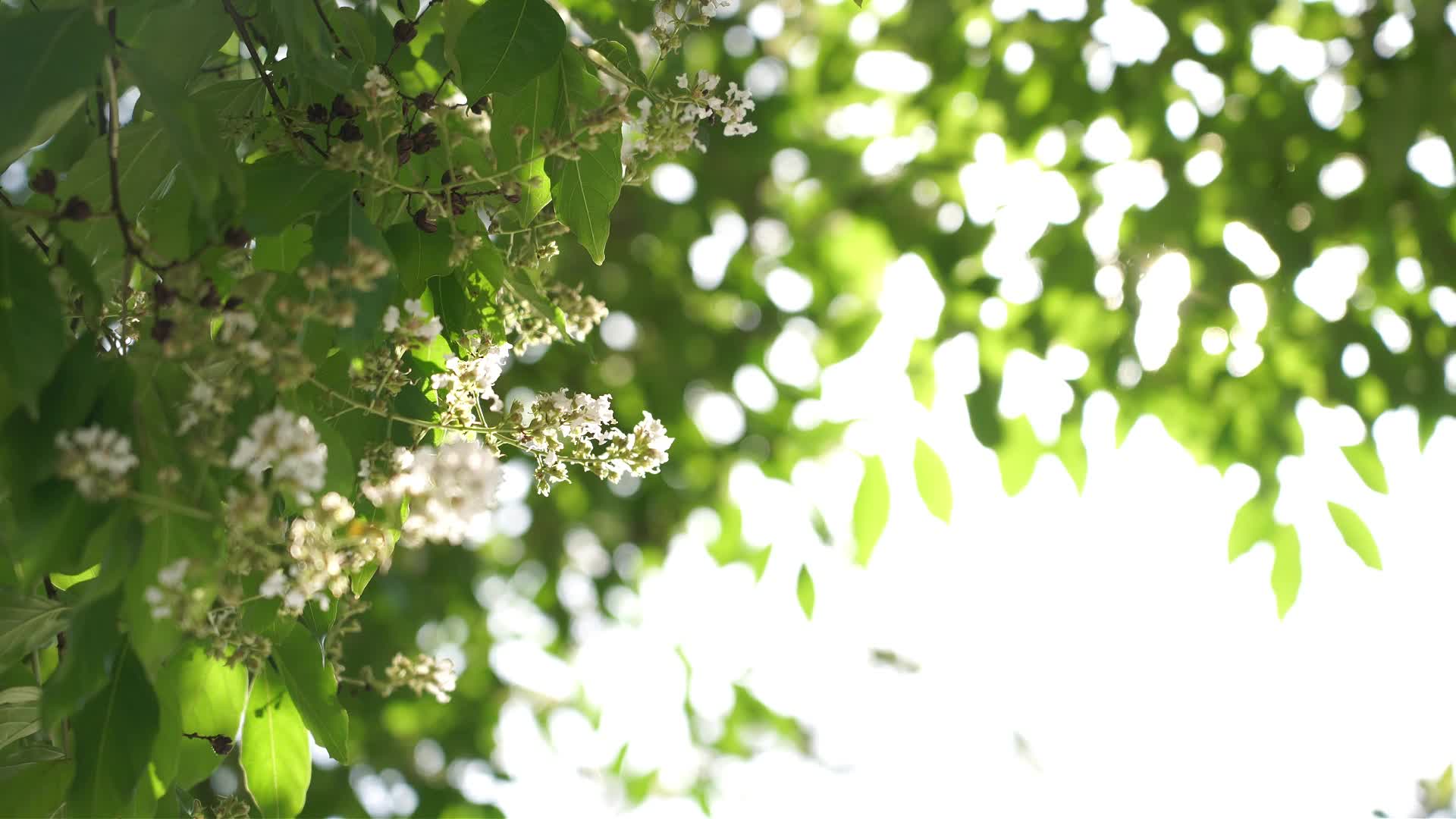 视频|普法短视频——《协议之外》