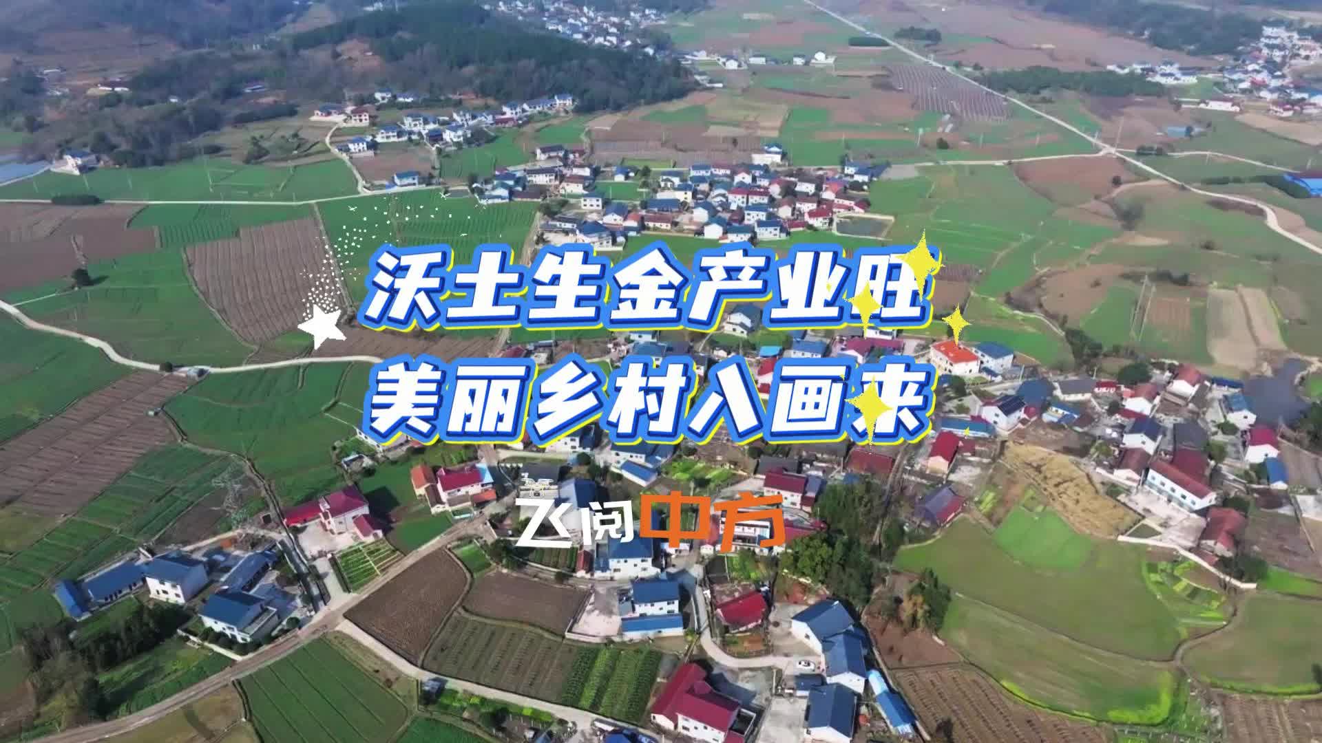 视频|飞阅中方·沃土生金产业旺 美丽乡村入画来