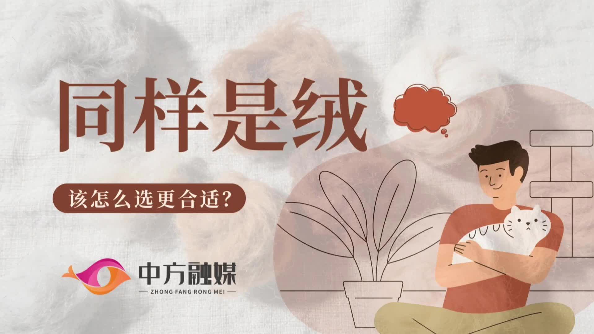 视频|融媒小课堂：同样是绒，该怎么选更合适？