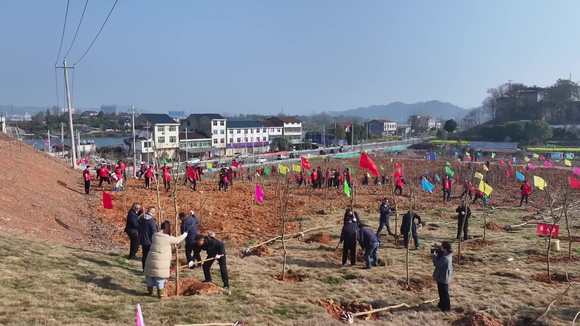 视频｜中方县开展2026年义务植树活动