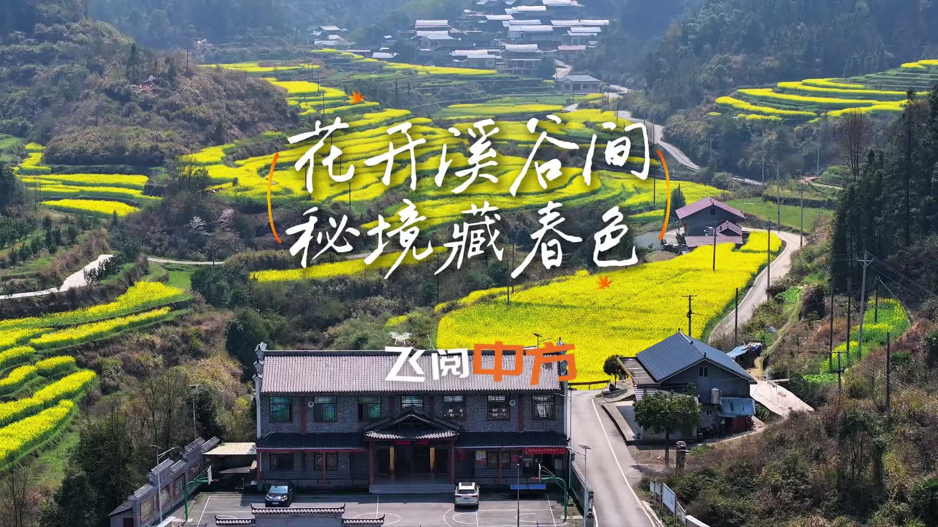 视频|飞阅中方·花开溪谷间 秘境藏春色
