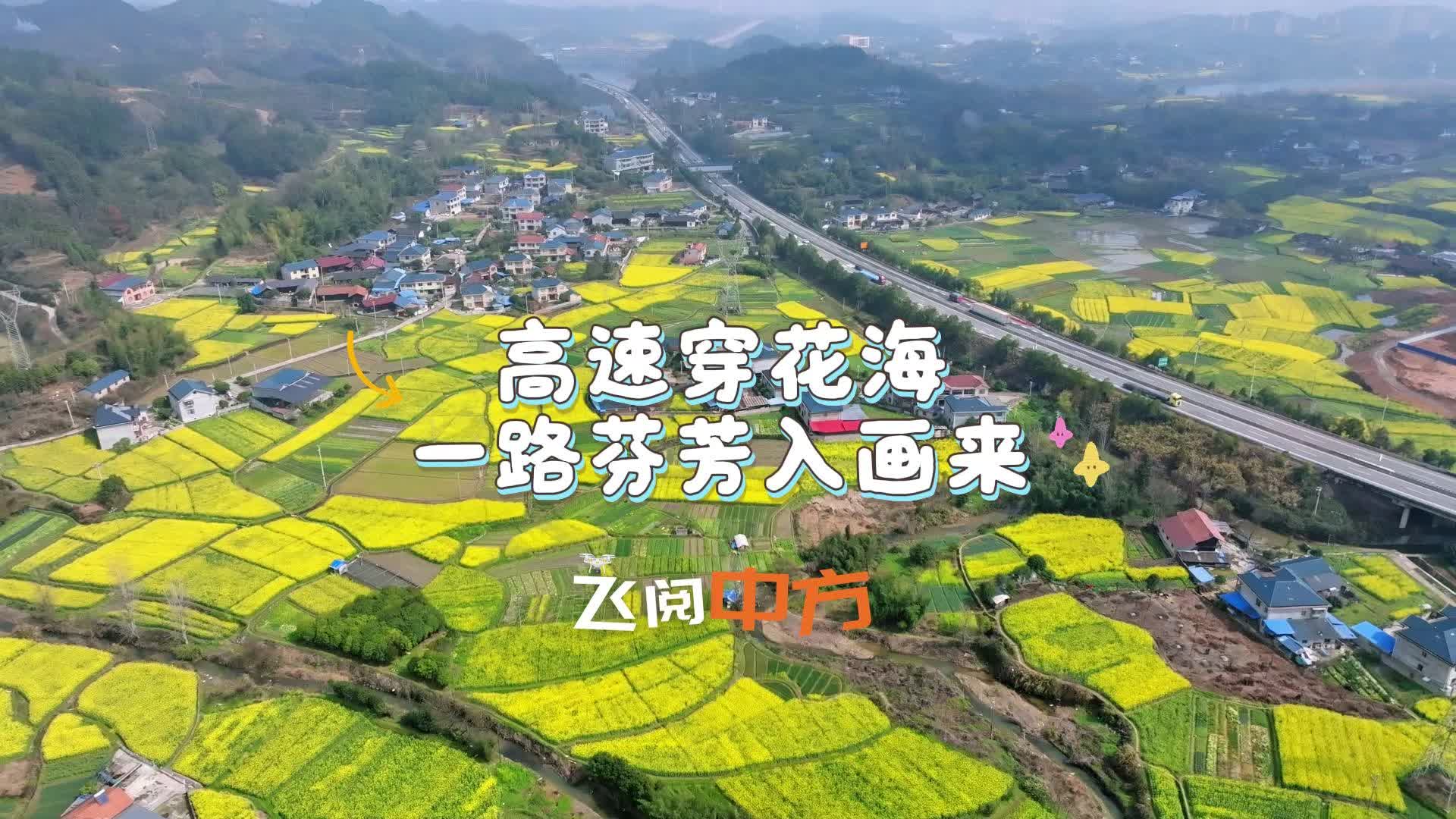 飞阅中方|高速穿花海 一路芬芳入画来