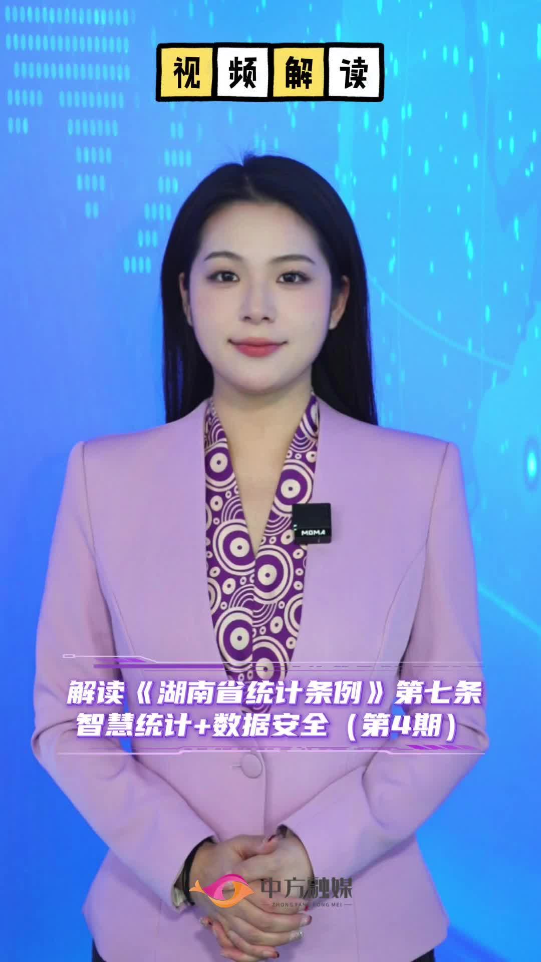 视频解读|《湖南省统计条例》第七条 智慧统计+数据安全（第4期）