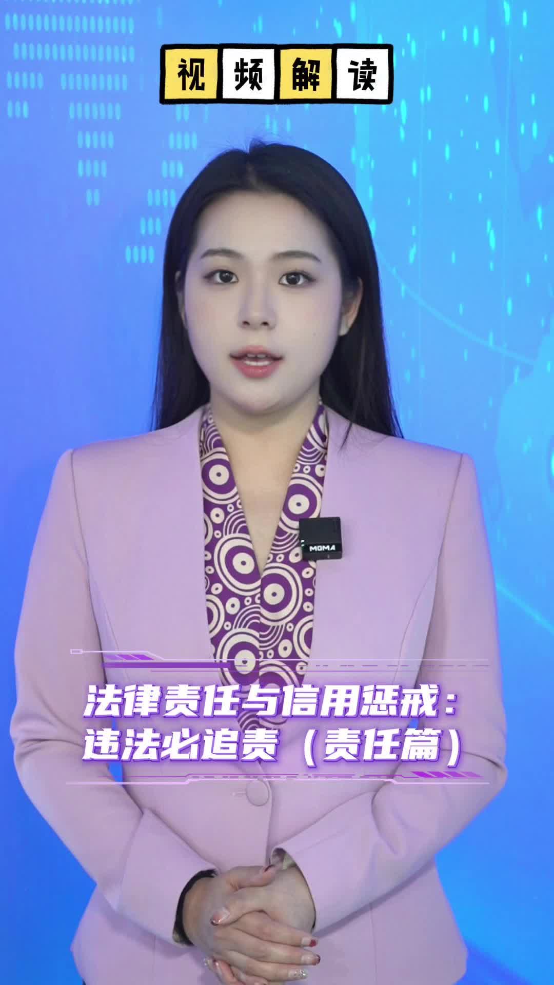 视频解读|法律责任与信用惩戒：违法必追责（责任篇）