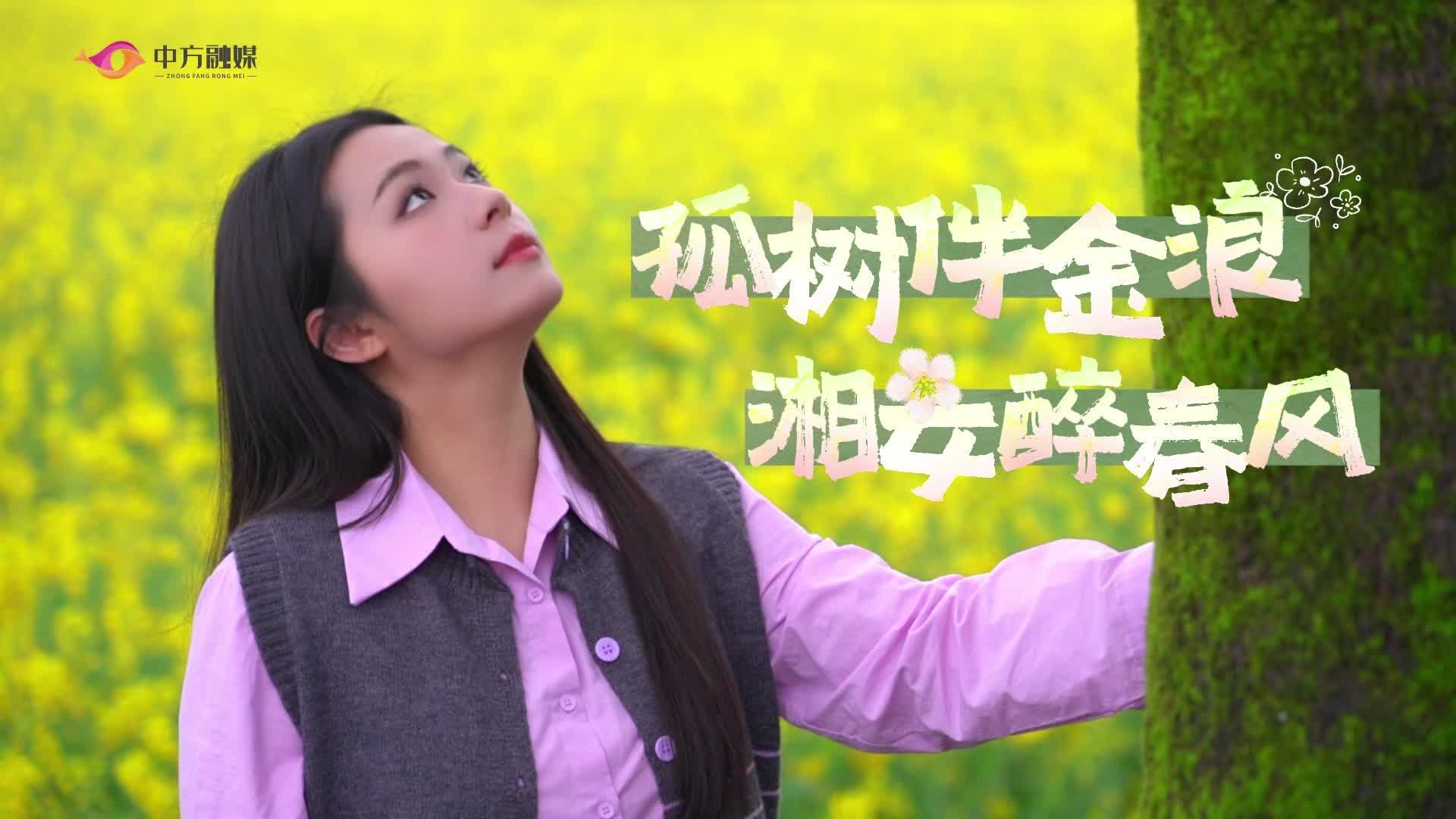 视频|孤树伴金浪 湘女醉春风