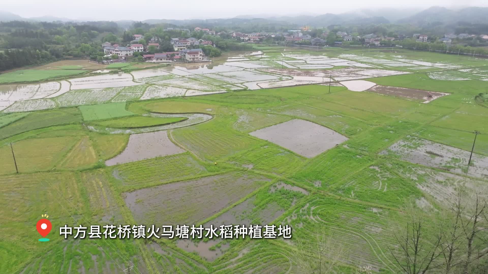 视频|中方县花桥镇：“铁牛”轰鸣抢农时 春耕播种启新程