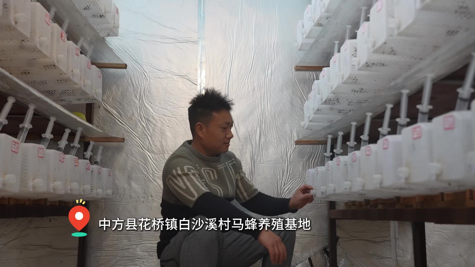 视频|中方县花桥镇：特色养殖显 “蜂” 芒 能人带动助振兴