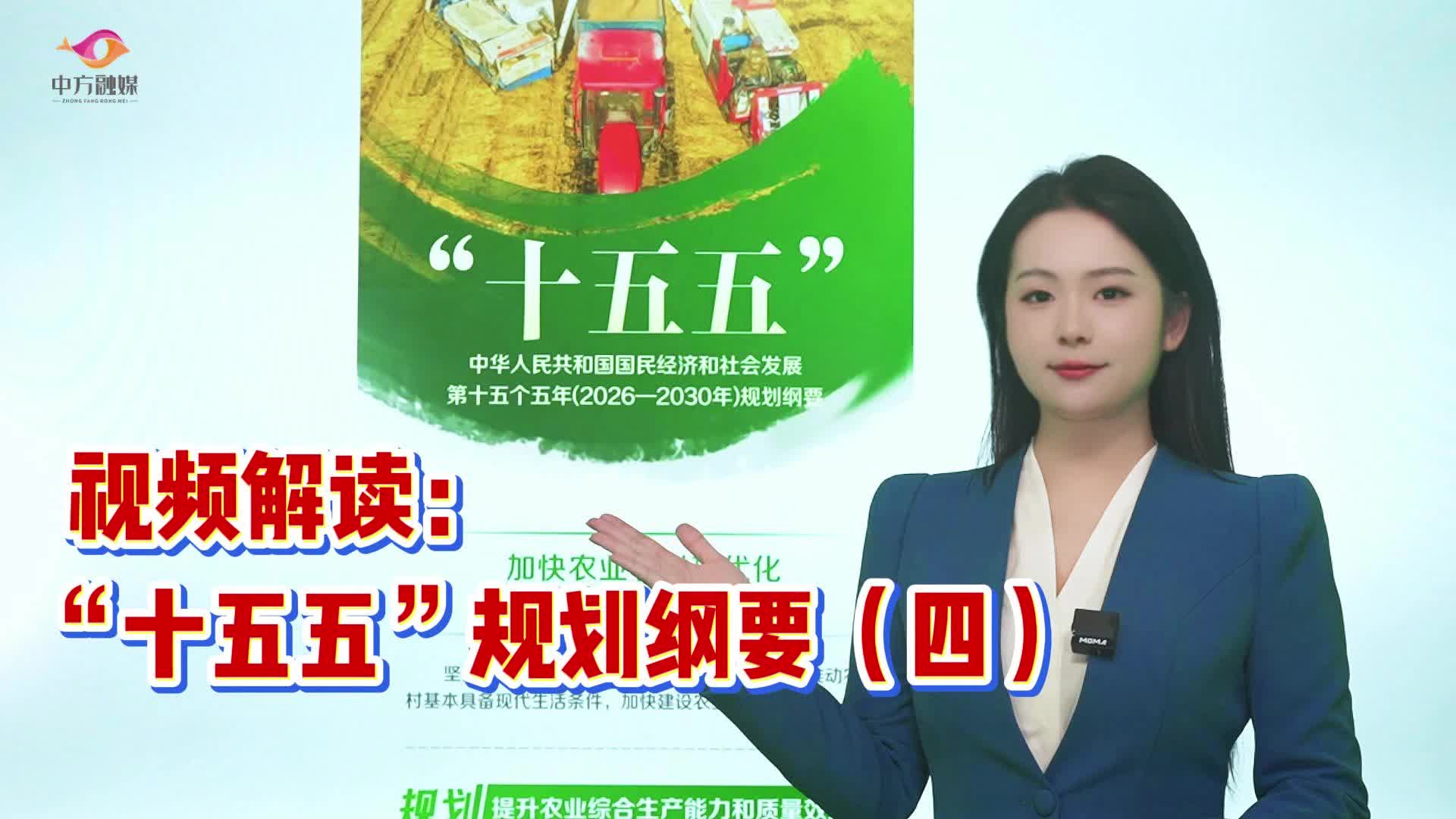 视频解读：“十五五”规划纲要（四）