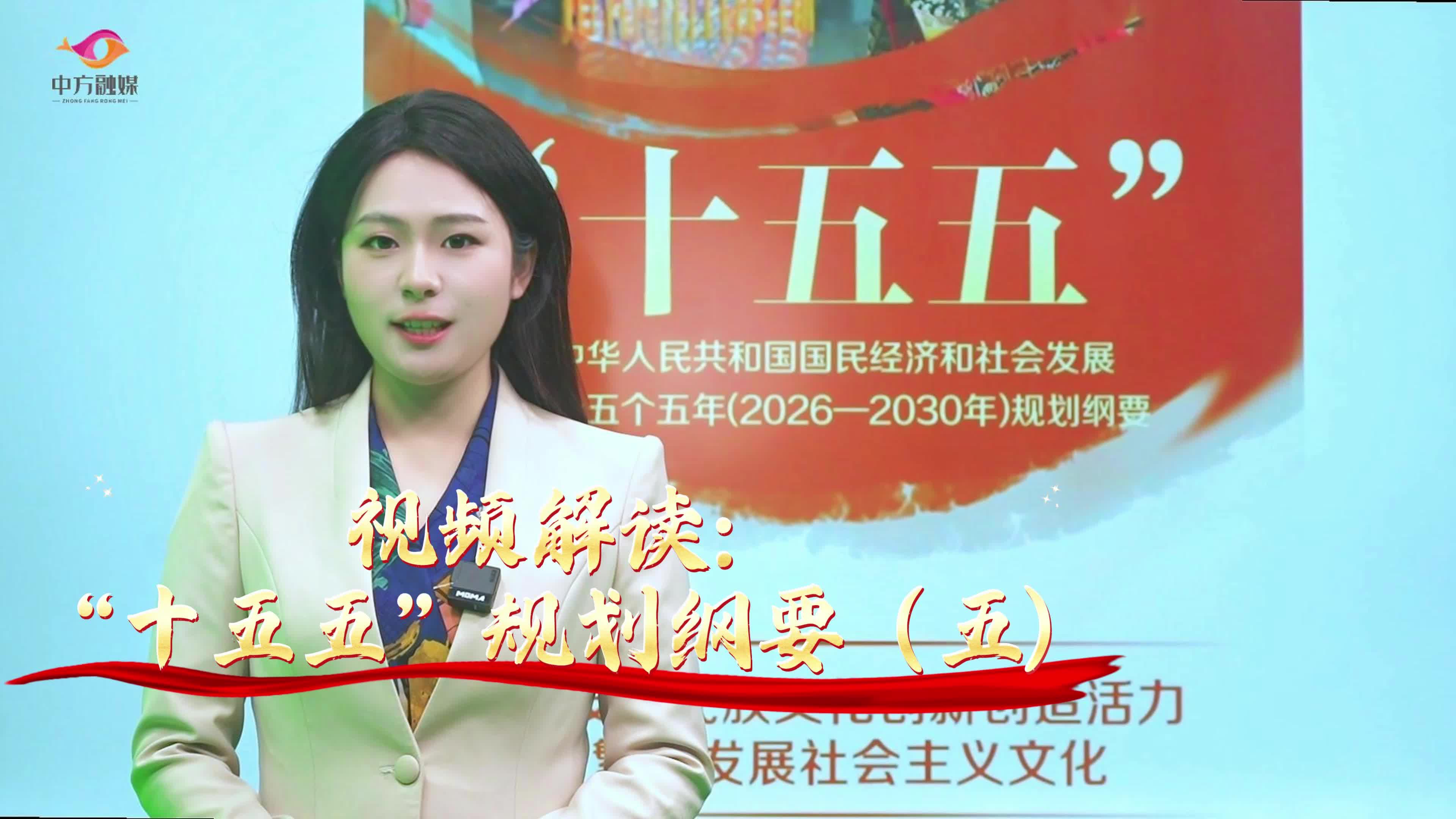 视频解读：“十五五”规划纲要（五）