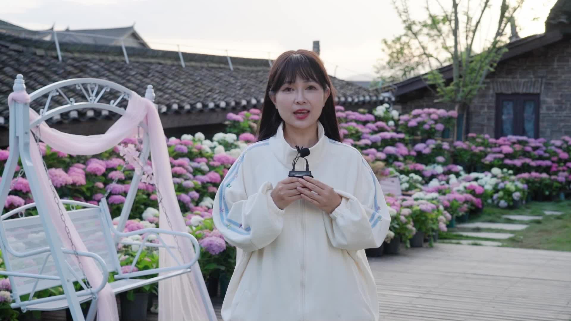 视频|荆坪古村五一焕新  科技场馆 + 趣味活动嗨不停