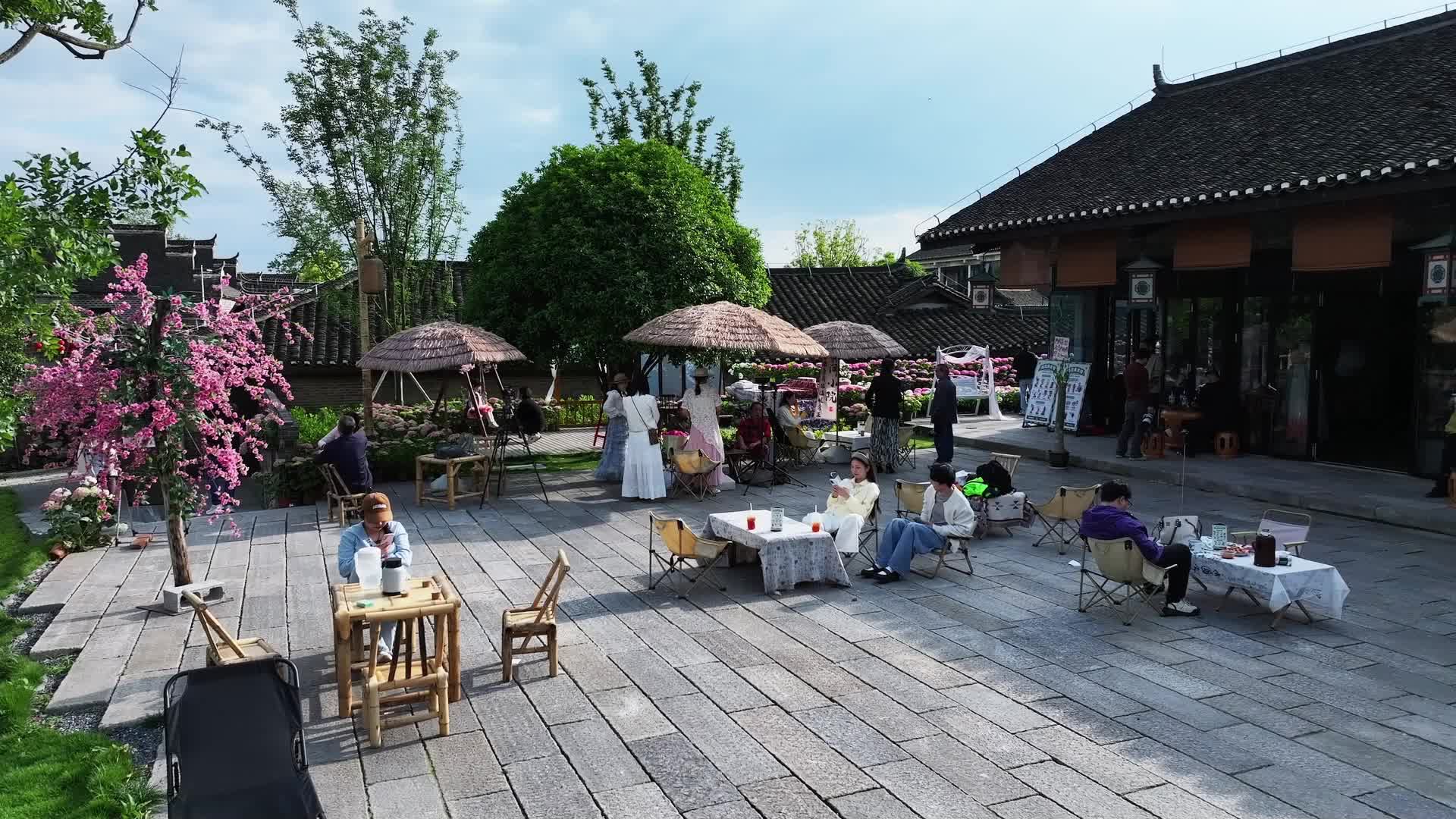 视频|中方：荆坪古村绣球花海成网红打卡点